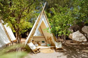 Kampaoh Paloma, Tarifa